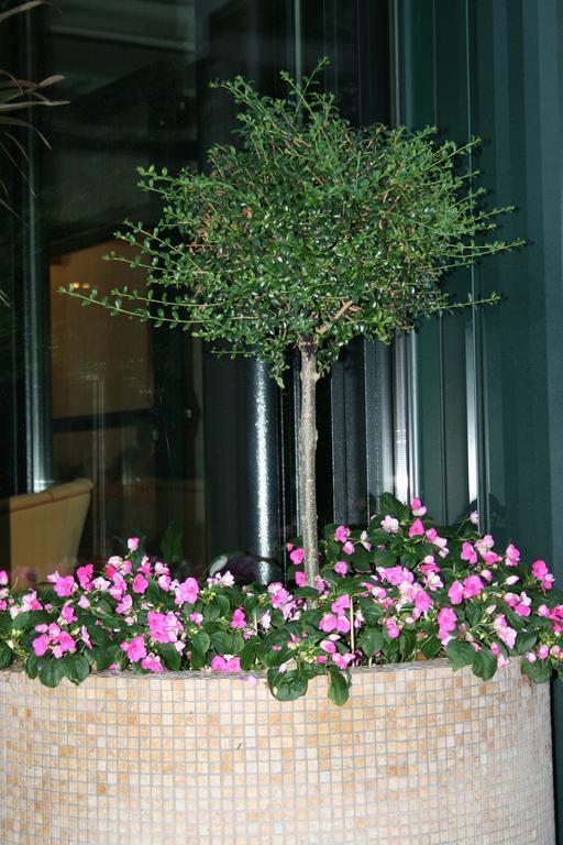 La Perla B&B Hotel Roseto Degli Abruzzi Exterior photo